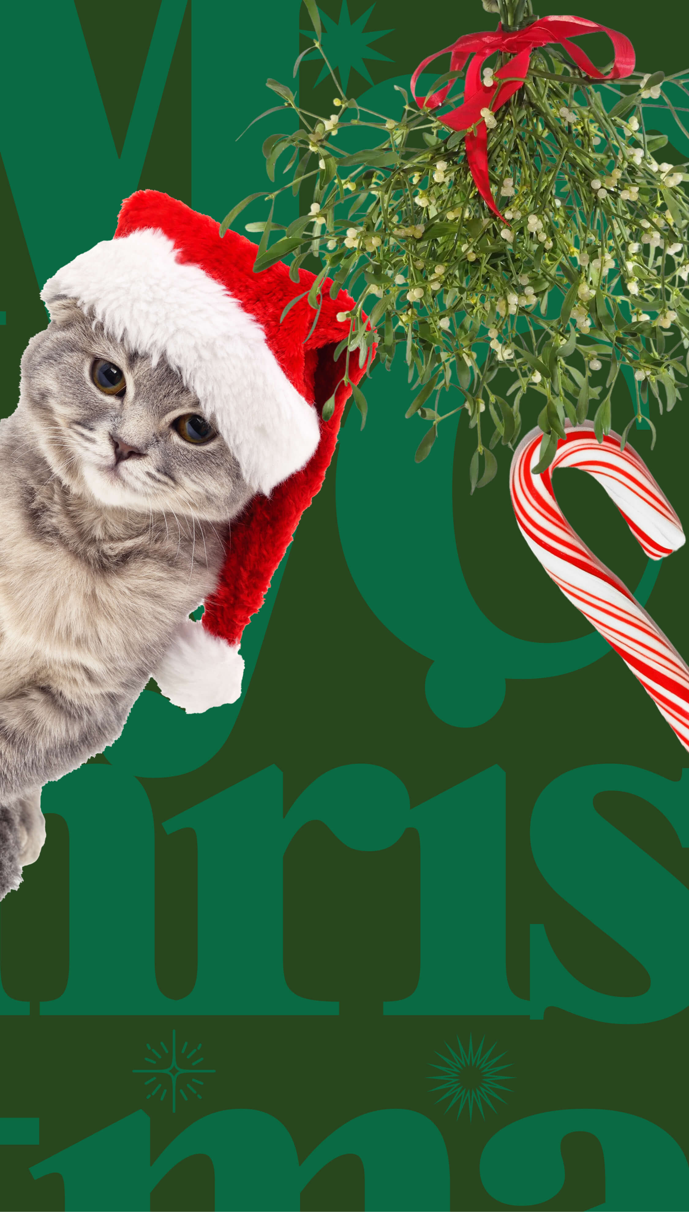 Solsis Christmas Club 2025